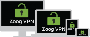 Zoog VPN